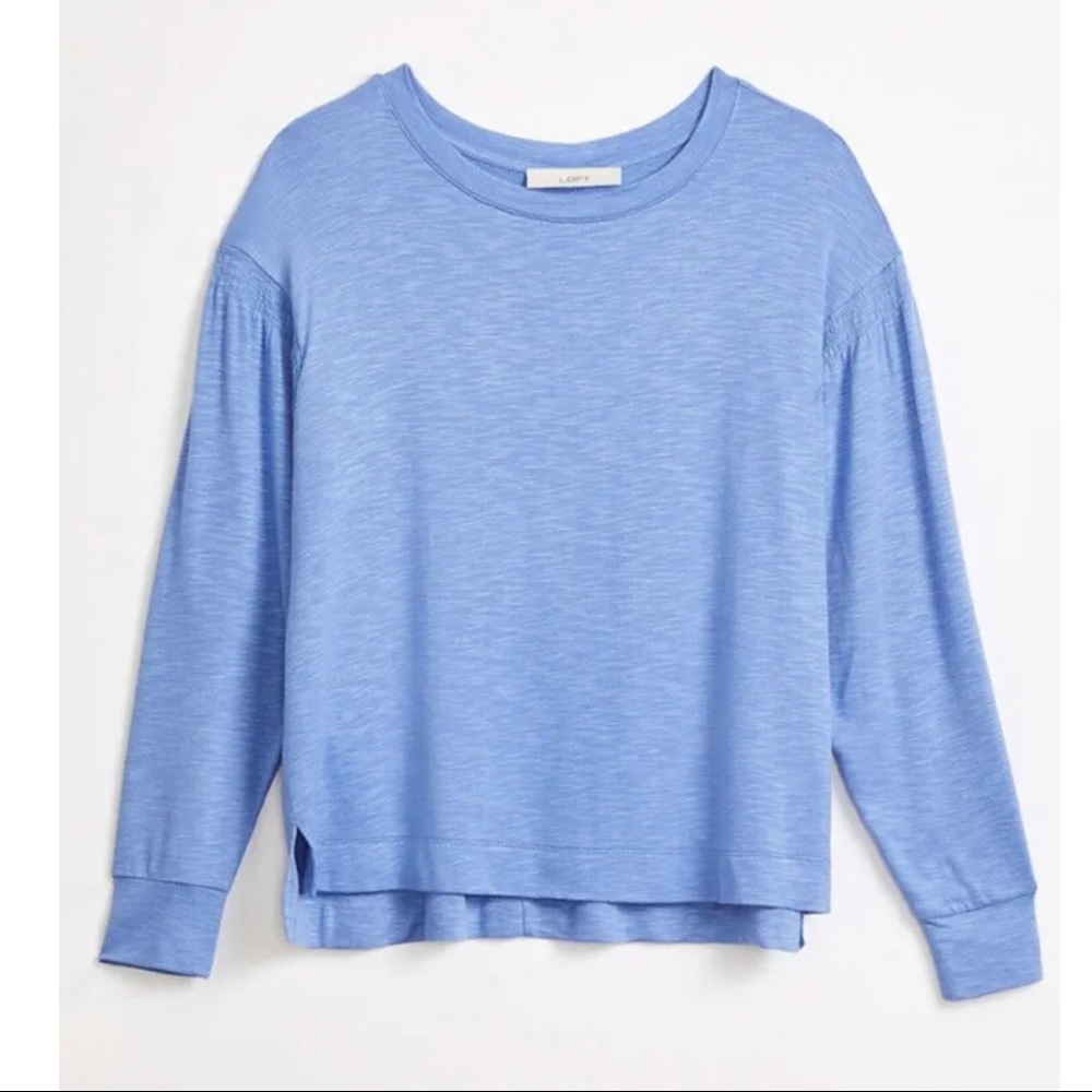 Ann Taylor Loft Light Blue Smocked Long Sleeve Soft Terry Top XS
